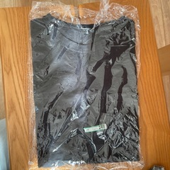 ワークマン　Tシャツ　使用感あり　レディースM ２枚