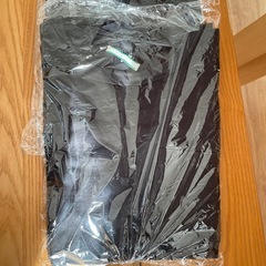 ワークマン　Tシャツ　使用感あり　レディースM ２枚の画像