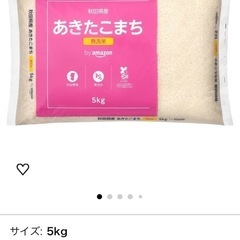 本日限定お米5kg無洗米 