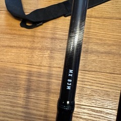 エギングロッド　DaiwaエメラルダスMXの画像