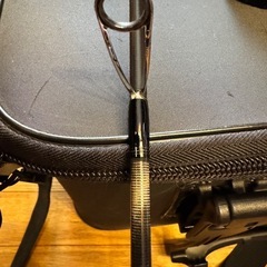 エギングロッド　DaiwaエメラルダスMXの画像