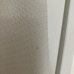 シーズン前に！レディースセレモニースーツ白セットアップの画像