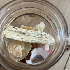 【まだ受付中】　インテリア　貝等　瓶付きの画像