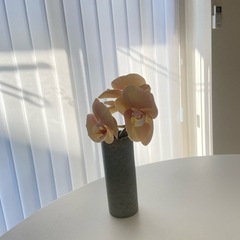TOSO バーチカルブラインドの画像