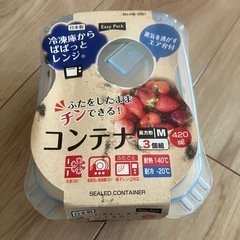 【まだ受付中】　タッパー　３個セット　冷凍可能　2セットあります