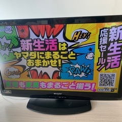 テレビ