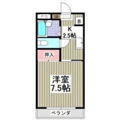 ✨🉐初期費用8万円パック＆フリーレント1ヶ月付き🉐✨ネット無料🎶...