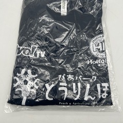 ドライTシャツの画像