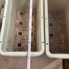 長方形型花壇　の画像