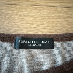 ノースリーブ　MからL 羽　ブラウン　茶色　ラメ　Tシャツの画像