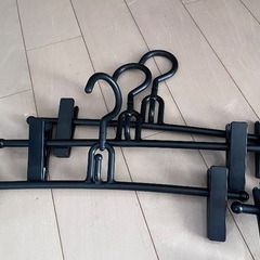ハンガー　ピンチ付きの画像