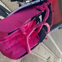 2人乗りベビー
カー　フィルアンドテッズ　vibeの画像