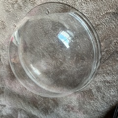 大きめの壁掛け水槽の画像