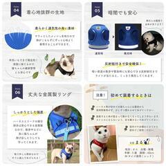 （リードなし）猫 ハーネス 抜けない ダブルロック 全身 胴輪 メッシュ 猫  小型犬 かわいい お出かけ おしゃれ 散歩 外出 通院 災害 避難  猫用品 簡単脱着 M 日光浴 の画像