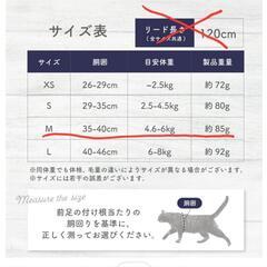 （リードなし）猫 ハーネス 抜けない ダブルロック 全身 胴輪 メッシュ 猫  小型犬 かわいい お出かけ おしゃれ 散歩 外出 通院 災害 避難  猫用品 簡単脱着 M 日光浴 の画像