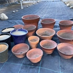 植木鉢　沢山　引き取り限定無料