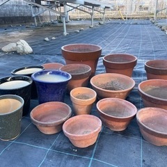 植木鉢　沢山　引き取り限定無料の画像