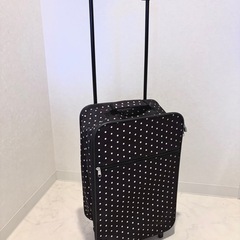 布製ドット柄キャリーケース