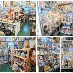 【愛品倶楽部柏店】置物 片面 シャコガイ 貝殻 全長約76cmの画像
