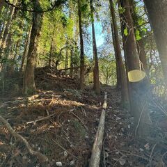 ★★ 1169坪の隠れ小屋付ぽつんと物件 ★★ − 千葉県