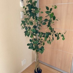 (取引中)観葉植物（フェイク）