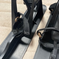 【お話中】スノーストライダーの画像
