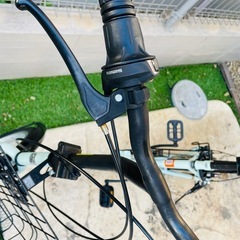 ランドスケープC ヘイズミント 20型 外装6段変速の画像