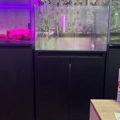 60オールガラス水槽 水槽台セット