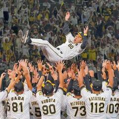 阪神ファン友達募集の画像