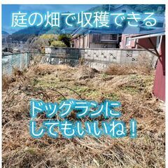 【ジモティ限定特典】【初期費用0円】【海見え】【ドッグラン・家庭菜園】【DIY＆ペットOK！】3DK平屋戸建て - 賃貸（マンション/一戸建て）