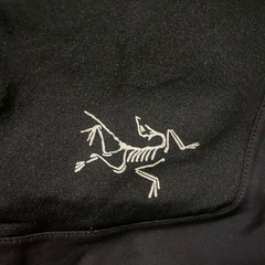 ARC’ TERYX/アークテリクスPALISADE PANT パリセードパンツ アウトドア ブラック (REG)の画像