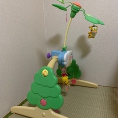 プーメリーの画像