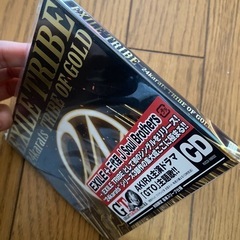 EXILE TRIBE 24karats TRIBE OF GOLD CDの画像