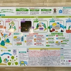 【美品】プーメリー最新版の画像