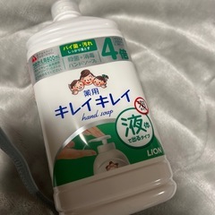 ライオン　キレイキレイ 薬用液体ハンドソープ 詰替用(800ml)