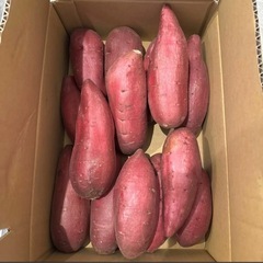 千葉県かとり産　シルクスイート　BLサイズ　5kg箱の画像