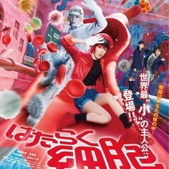 映画見に行きませんか👀🍿*゜