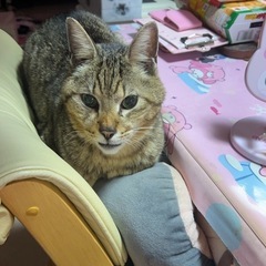 ☆長〜く続くLINE友達☆