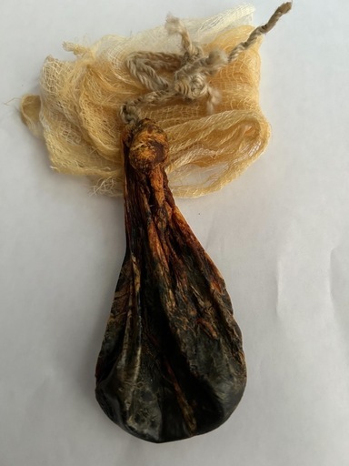 クマノイ　　熊の胆