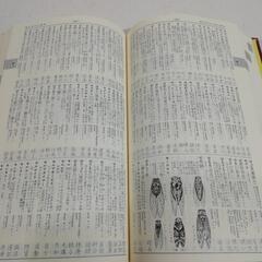 現代実用辞典　特装版レガーロの画像