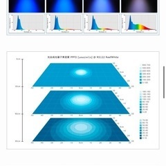 Grassy LeDio RS122 / グラッシー・レディオ RS122の画像