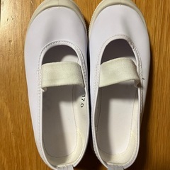 17センチ上履き