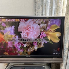 大型テレビの画像
