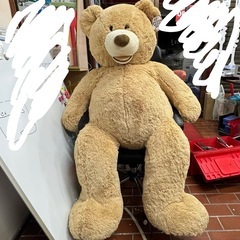 コストコ くまぬいぐるみ