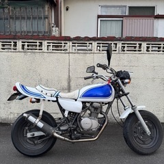 HONDA エイプ50 【ZⅡ仕様】の画像