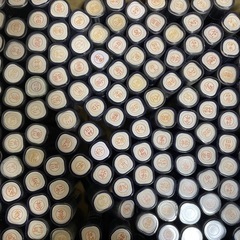新品未使用判子の画像