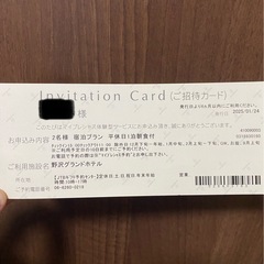 【限定SALE】野沢グランドホテル1泊朝食付き2名分チケットの画像