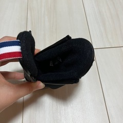 ゴルフボールケースの画像