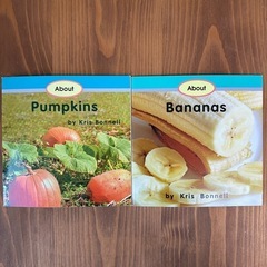 picture books   英語の本 2冊
