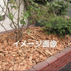 バークチップ の画像